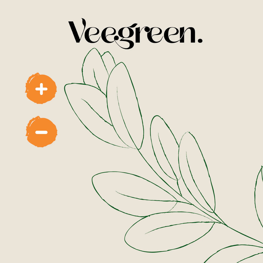 Les bienfaits et contre-indications du maté