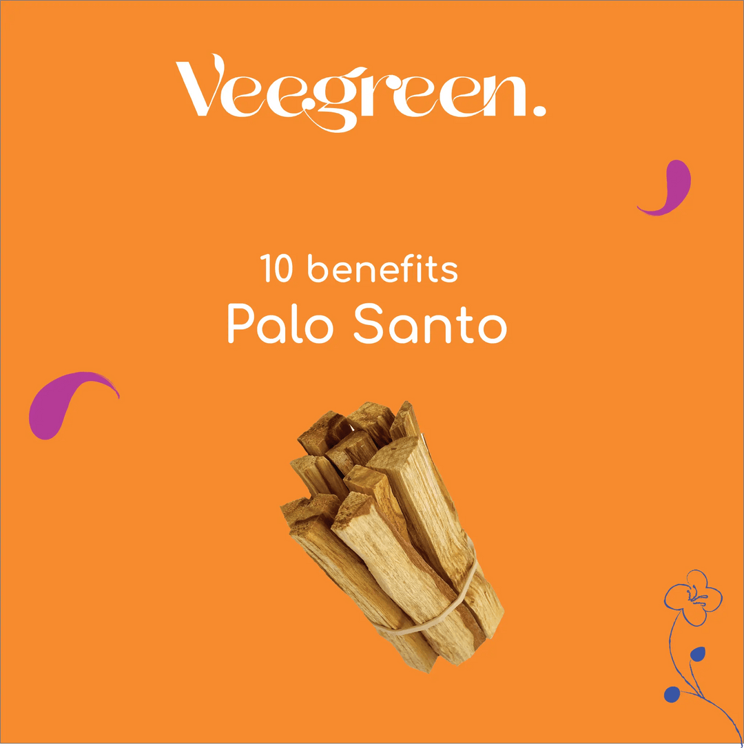 Veegreen plante naturelle sauge blanche