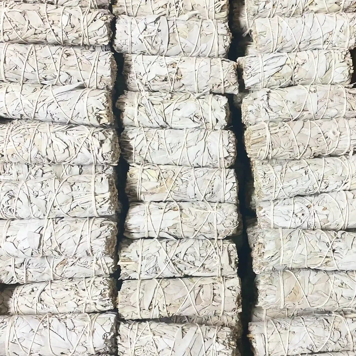 Où trouver de la sauge blanche et comment la choisir ?