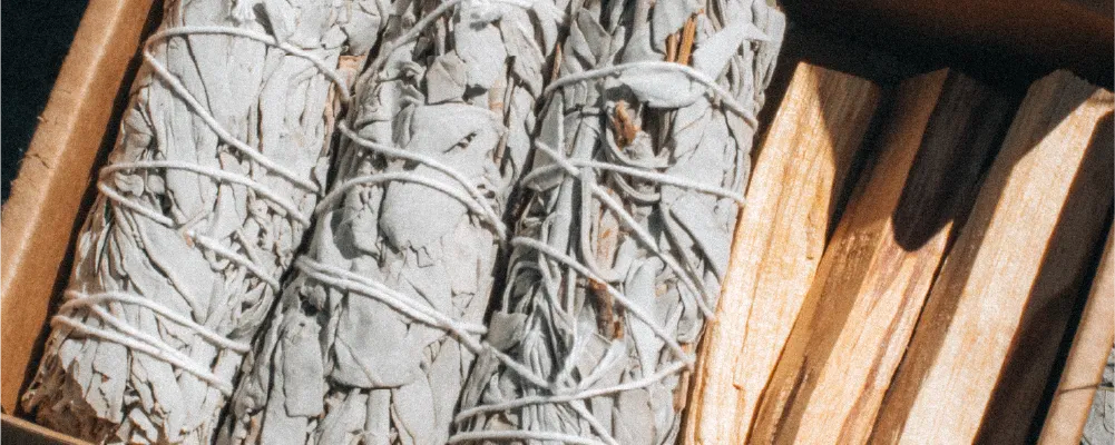 Smudge-de-Sauge-Blanche Veegreen