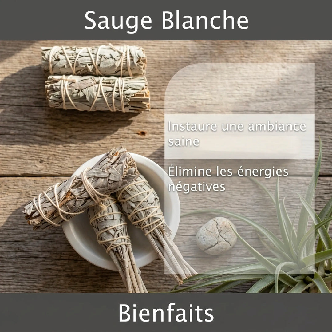 White Sage Purification Box