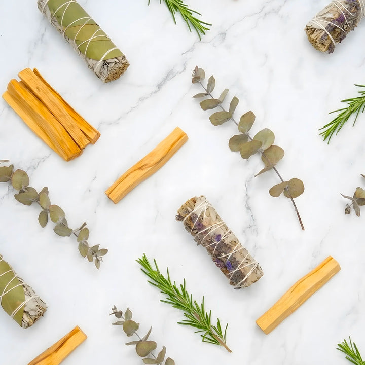 Le domaine des belles âmes x Veegreen