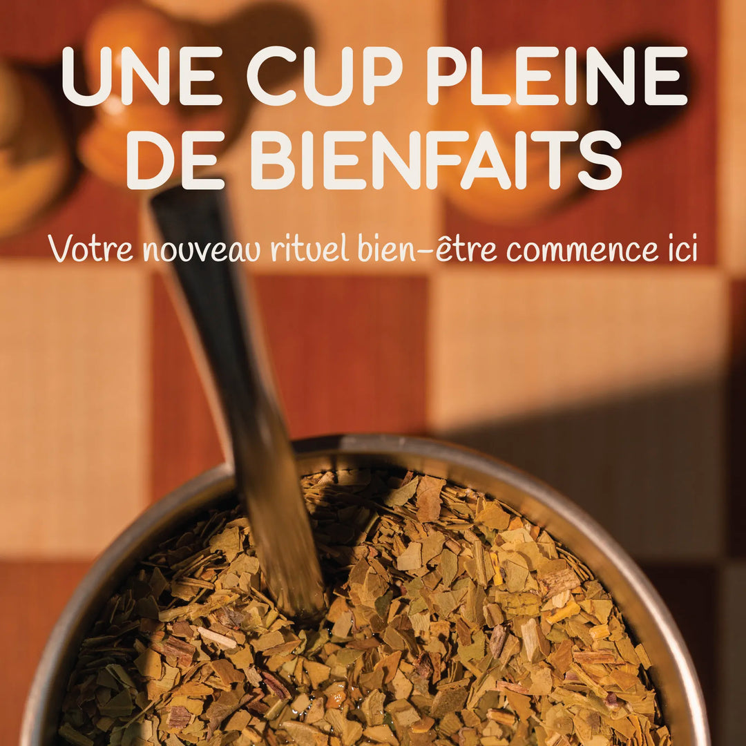 Maté Kit Tasting Box